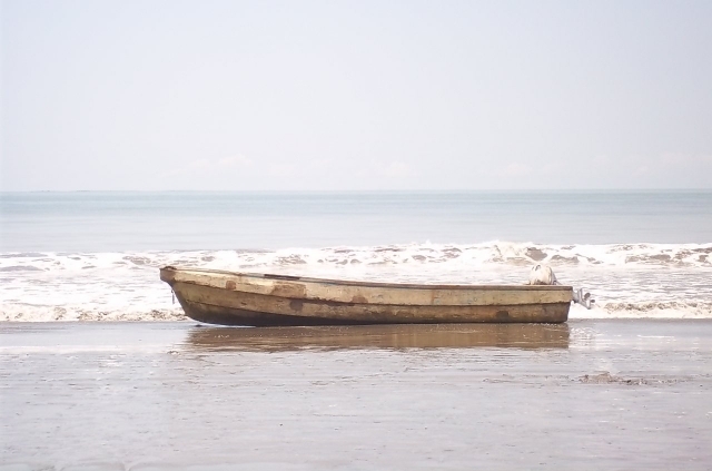 Maria Del Pilar Calero Mosquera