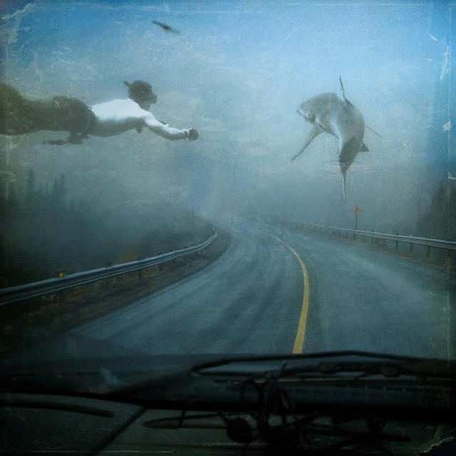 Silvia Juliana Navarro Morales