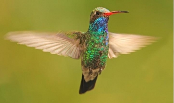 Luis Omar Rivadeneira Játiva