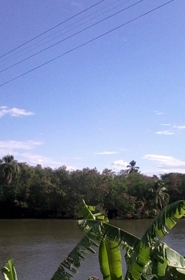 Adriana Jiménez Martínez