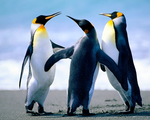 Hilda Cueva Martinez