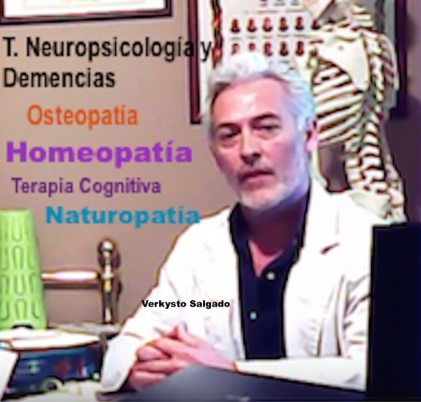 T S J. Lamula Verkysto