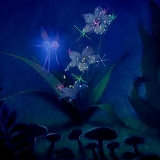 Rodrigo Israel Jain Espinoza