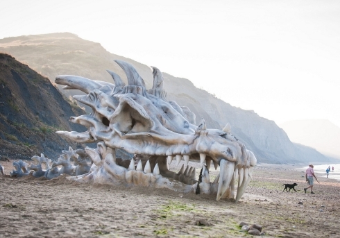 Fernando Lagunas Muñoz