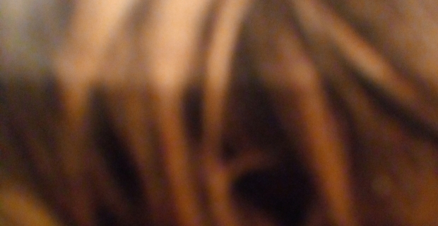 Jose Fernando Cordoba Mena