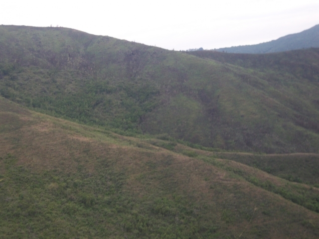 Astrid Carolina Sinisterra