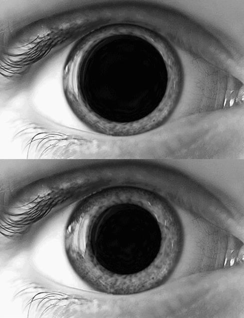 Maria Paz Canihuan Barril