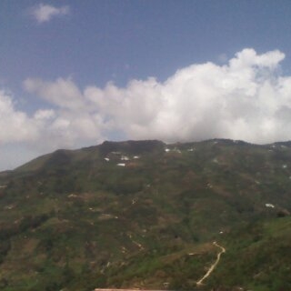 Erika J. Beauperthuy