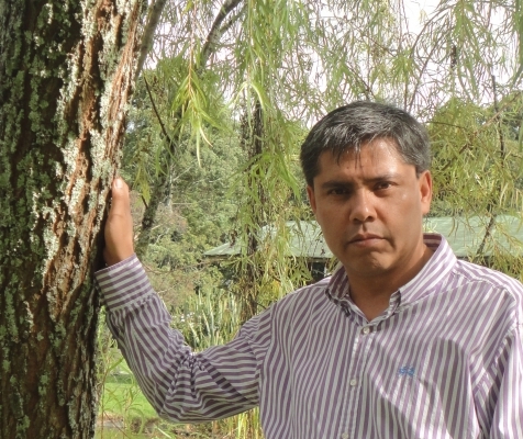 David Alberto Bello Herrera