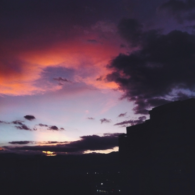 Maria Del Pilar Martinez V.