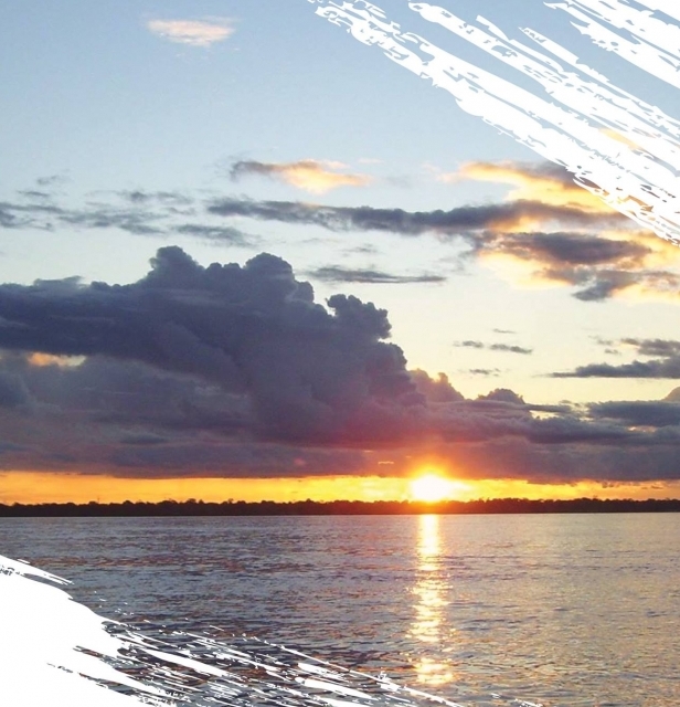 Elizabeth Múnera A.