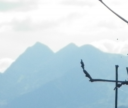 Roberto Carlos Cruz Vargas