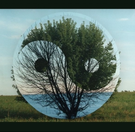 Alfredo Cortes Musumeci