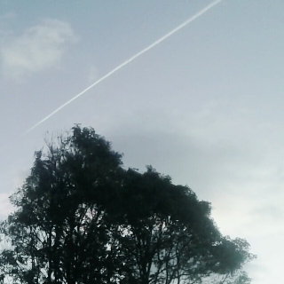 Luis Alberto Renteria Morales