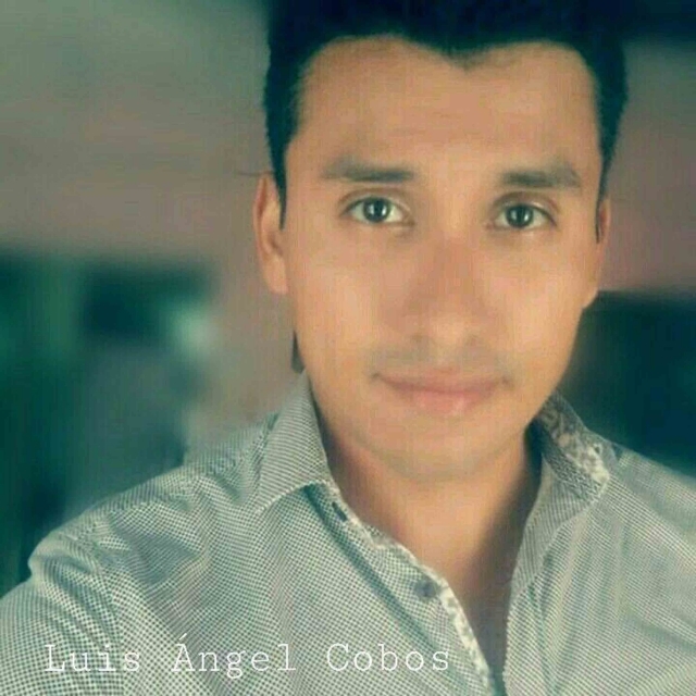 Luis Ángel Cobos Guerrero