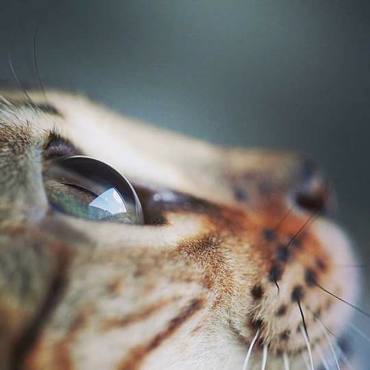 Valentina Echeverri Jiménez