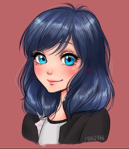 Diana Anthonella Carvajal Diaz