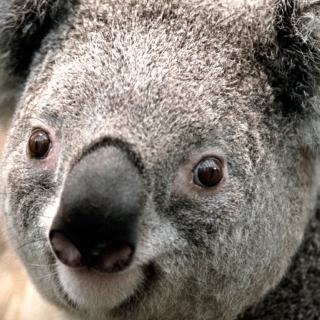 Jesús Xavier López Otero