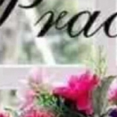 Rosemarinda Zimmerman