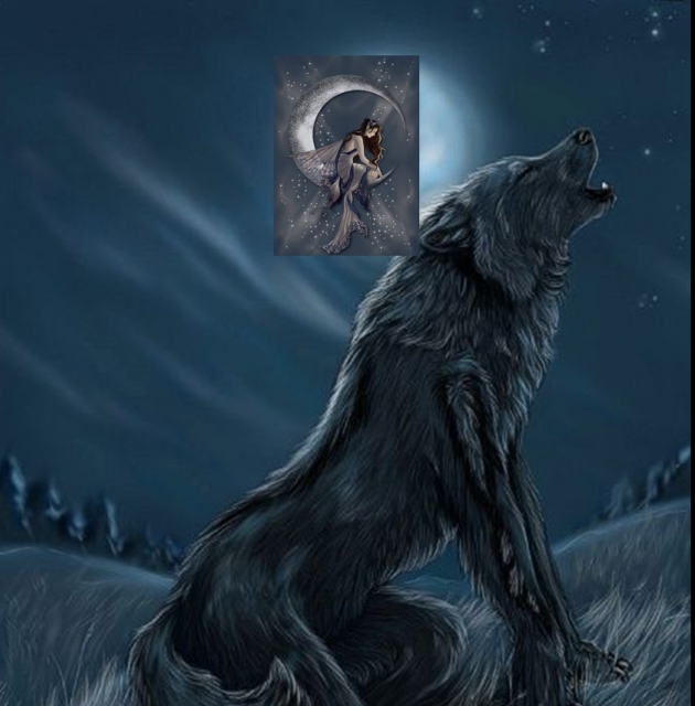 El Ultimo Lobo Estepario