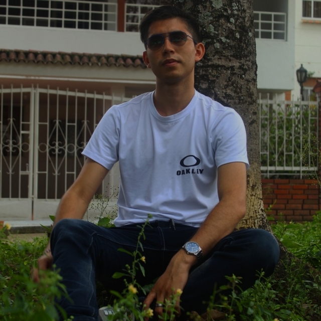 Julián Alberto Galvis Morales