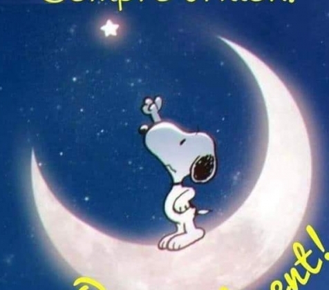 Verónica Fabiana Ledesma