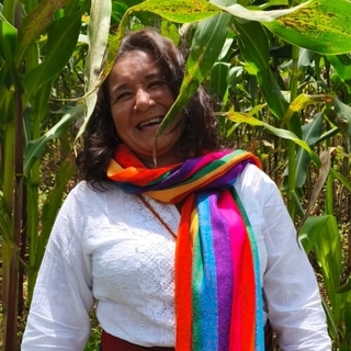 Ana Mercedes Vargas Solano