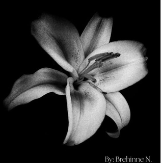 Brehinne Yancey Naranjo Areiza